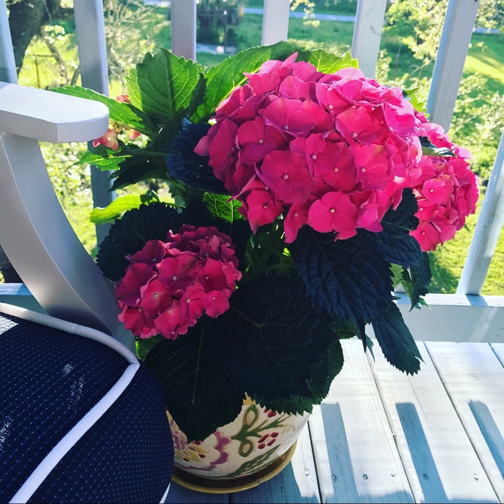 Meet your Posher, Kara